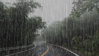 Lluvia Relajante Para Dormir en 2 Minutos  Sonido de Lluvia en el Bosque Brumoso  ASMR [upl. by Christianson150]