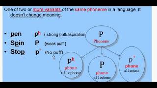 Morphology Lesson 5 Part 1 Morphemes and Allomorphs [upl. by Saiff385]