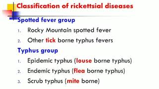 Rickettsia quick revision  Basic microbiology [upl. by Cleti]