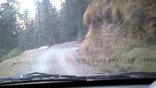 Chandigarh to Mashobra greens hills Off Road Drive  Shimla [upl. by Quintie877]