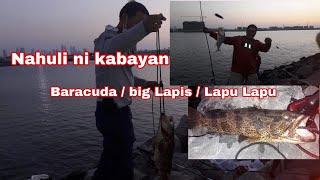 Barakuda  Lapu Lapu  Big Lapis  nahuli ni Kabayan [upl. by Oirtemed]