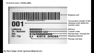 SAP EWM Handling Unit Technical Labels amp Barcodes [upl. by Elleb384]