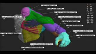 INCREDIBLE HULK  COMPUTER ANIMATION and MOTIONCAPTURE EPK [upl. by Ferriter53]