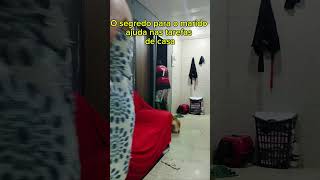 só assim pra ele me ajudar em casa humor casal explore youtubeshorts instagram [upl. by Malorie]