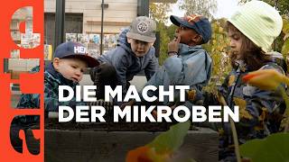 Die Macht der Mikroben  Doku HD  ARTE [upl. by Mitzl]