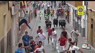 1º Encierro Ganadería Monteviejo 3917 Duración 315min [upl. by Etneciv]