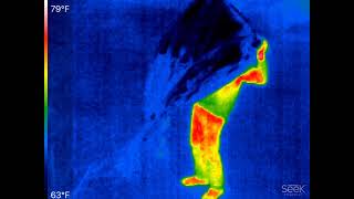 Low Tech Method to Defeat a Bolometer FLIRThermal Imager [upl. by Rayburn]