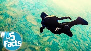 Top 5 Fun Facts About Skydiving [upl. by Qifar817]