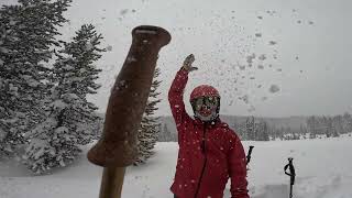 Backcountry Powder Skiing [upl. by Rovner321]