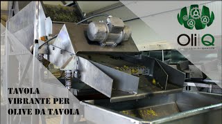 Impianto denocciolatura olive tavola vibrante [upl. by Nilre]