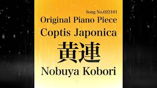 September 10 2024 Nobuya Kobori Song No022101 Coptis Japonica 黄連 [upl. by Ayotac235]