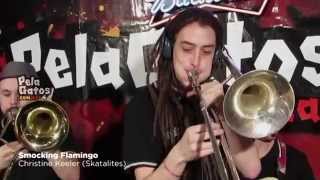 Smocking Flamingo  Ska en PelaGatos  Christine Keeler Skatalites [upl. by Nets521]