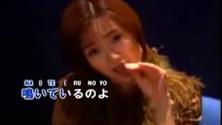 酒井法子碧綠色的兔子KTV [upl. by Coop]