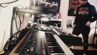 Electro Jam Session 14 Roland TR808 TR8 Alpha Juno  Watch my Flamingo [upl. by Elsinore]