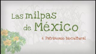 6 Las milpas de México patrimonio biocultural [upl. by Wilkinson]