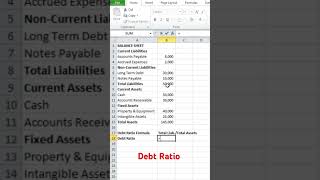 Financial Analysis  Debt Ratio Explained [upl. by Boak896]