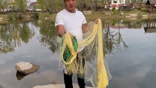 gill net fishing Best net fishing Big fish Hunting with Cast net in the village pondcast [upl. by Connors]