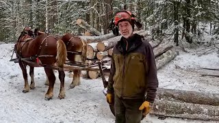 SIT DOWN PUT YOUR FEET UP AND ENJOY Ive got a lot to tell you  Draft Horse Logging 588 [upl. by Alikee]