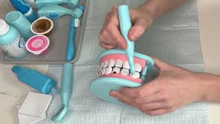 ASMR  REALISTIC Deep Dental Cleaning ✨  Melissa and Doug Dentist Playset [upl. by Chellman]