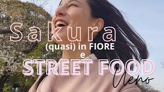 Vlog  Passeggiata tra i ciliegi e cibo buono streetfood [upl. by Oiliduab]