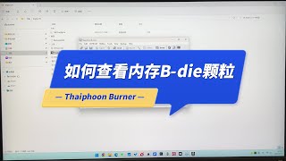 如何查看内存Bdie颗粒？Thaiphoon Burner官方下载和使用教程 [upl. by Llerred731]