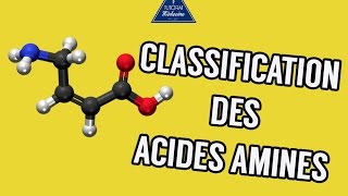 01  Classification des acides aminés [upl. by Erleena]