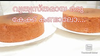 Black Current cake Malayalam Recipe lll malayalam cake recipeBlack currentcakery bee [upl. by Gladine703]