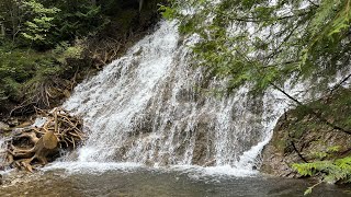 Gaspésie 2023 Le paradis de la nature sauvage 4K [upl. by Aicatsan532]