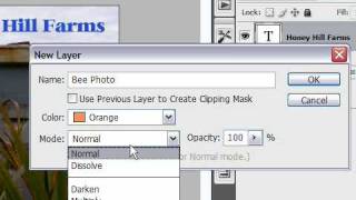 Create a New Layer in Photoshop CS3 [upl. by Dacie186]