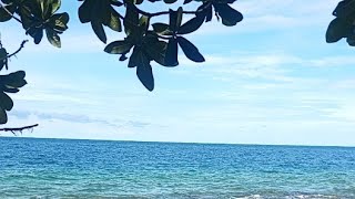 Pantai Saiti Mega Resort Nias Utara live nias saiti [upl. by Birecree45]