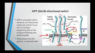 How to reverse Alzheimers disease Dr Dale Bredesen protocol The first section [upl. by Asquith]