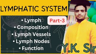 Lymphatic System in Hindi  Lymph  Composition  Lymph Vessels  Lymph Nodes  Function  YKSir [upl. by Kaenel]