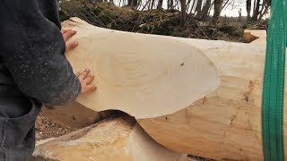 Building Off Grid Log Cabin  Ep 12  First Saddle Notches [upl. by Dorothi]