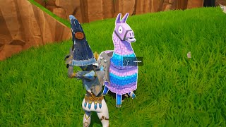 Fortnite Season OG Loot Llama Update [upl. by Suixela]