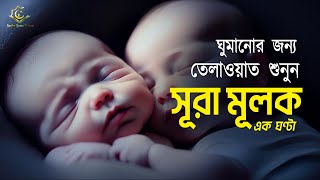 Surah AlMulk for 1 hour  ঘুমানোর জন্য  এক ঘণ্টা সূরা মূলক  Recited by Alaa Aqel [upl. by Naimerej942]