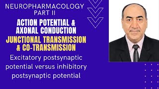 Neuropharmacology II action potential axonal conduction junctional transmission amp cotransmission [upl. by Sitto]