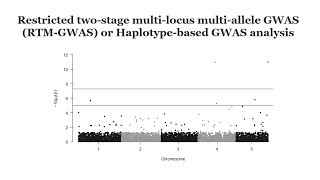 Haplotypebased GWAS analysis using rtmgwas software A quick GWAS tutorial [upl. by Spillar]