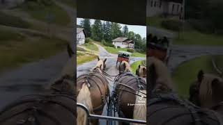 Les chevaux du saut du doubs Brenets travel [upl. by Reviel]