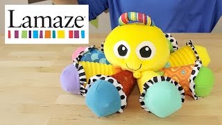 Lamaze Octotunes Musical Toy  Ośmiornica Ośmionutka LC 27027 [upl. by Warrenne867]