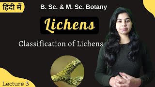 Lichens  Classification of Lichens  in Hindi  Botany  B Sc amp M Sc [upl. by Sidnala771]