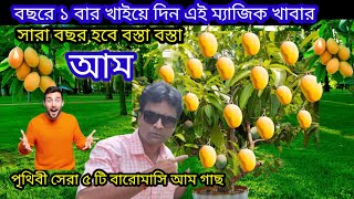 ১ বার খাইয়ে দিন এই খাবার সারা বছর হবে বস্তা বস্তা আম 🤔 Mango Plant care mango mangotrees [upl. by Paquito]