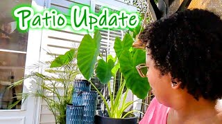 Patio Update  Details About Items I Purchased to Create Our Outdoor Oasis  Sunscreen On My Lip🫤 [upl. by Vaasta241]