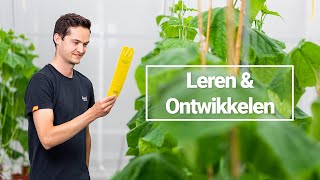 Leren amp Ontwikkelen bij Koppert [upl. by Normi728]