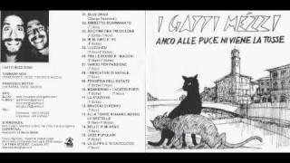 I gatti mézzi  09 tragedia dell estate  Anco alle puce ni viene la tosse [upl. by Rothwell737]