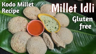 Millet IdliKodo Millet recipesMillet recipesrasoishowMillet Idli dosa batterMillet Year 2023 [upl. by Eniale980]