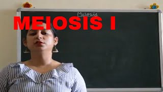 MEIOSIS I Easy explanation BIOLOGY  ICSE CBSE Board Exams [upl. by Chicky915]