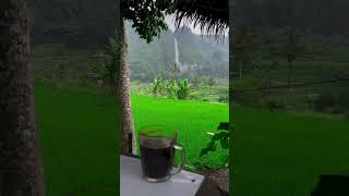 Cianjur cianjur viralvideo shorts brandashorts fyp [upl. by Dorwin426]