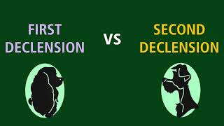 Second Declension Nouns 211 [upl. by Soloma]