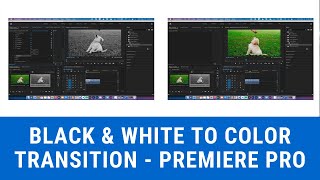 Black and White to Color Transition  Premiere Pro [upl. by Aicina]