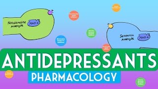 Antidepressants Pharmacology  Soton Brain Hub [upl. by Anailli]